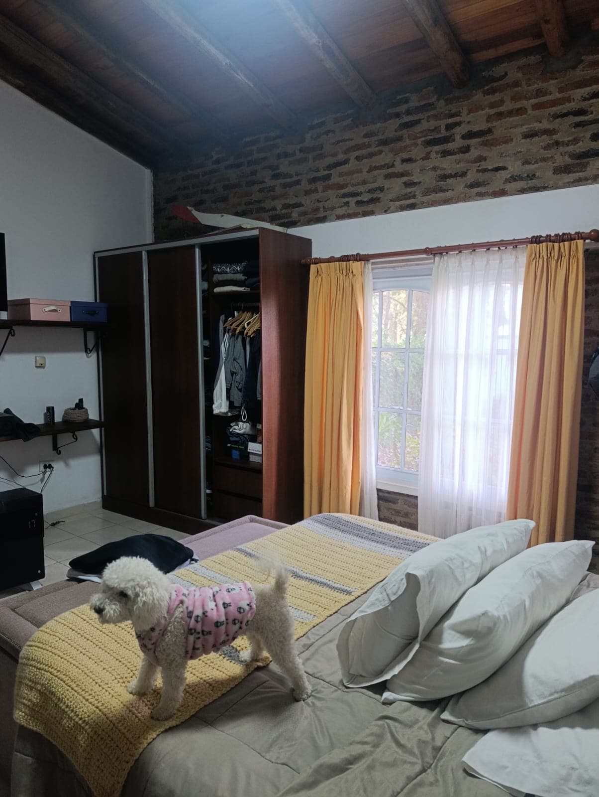 Foto 7